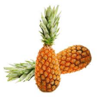 Ananas Pain de Sucre